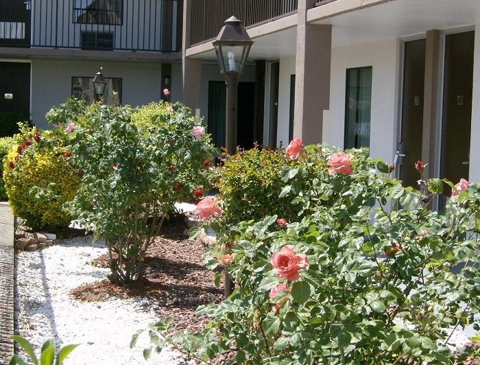 Shelbyville Inn - Shelbyville, Tn 37160 Kültér fotó